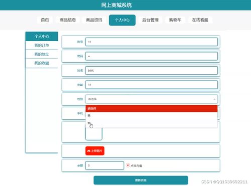 java计算机毕业设计springboot vue网上购物商城系统